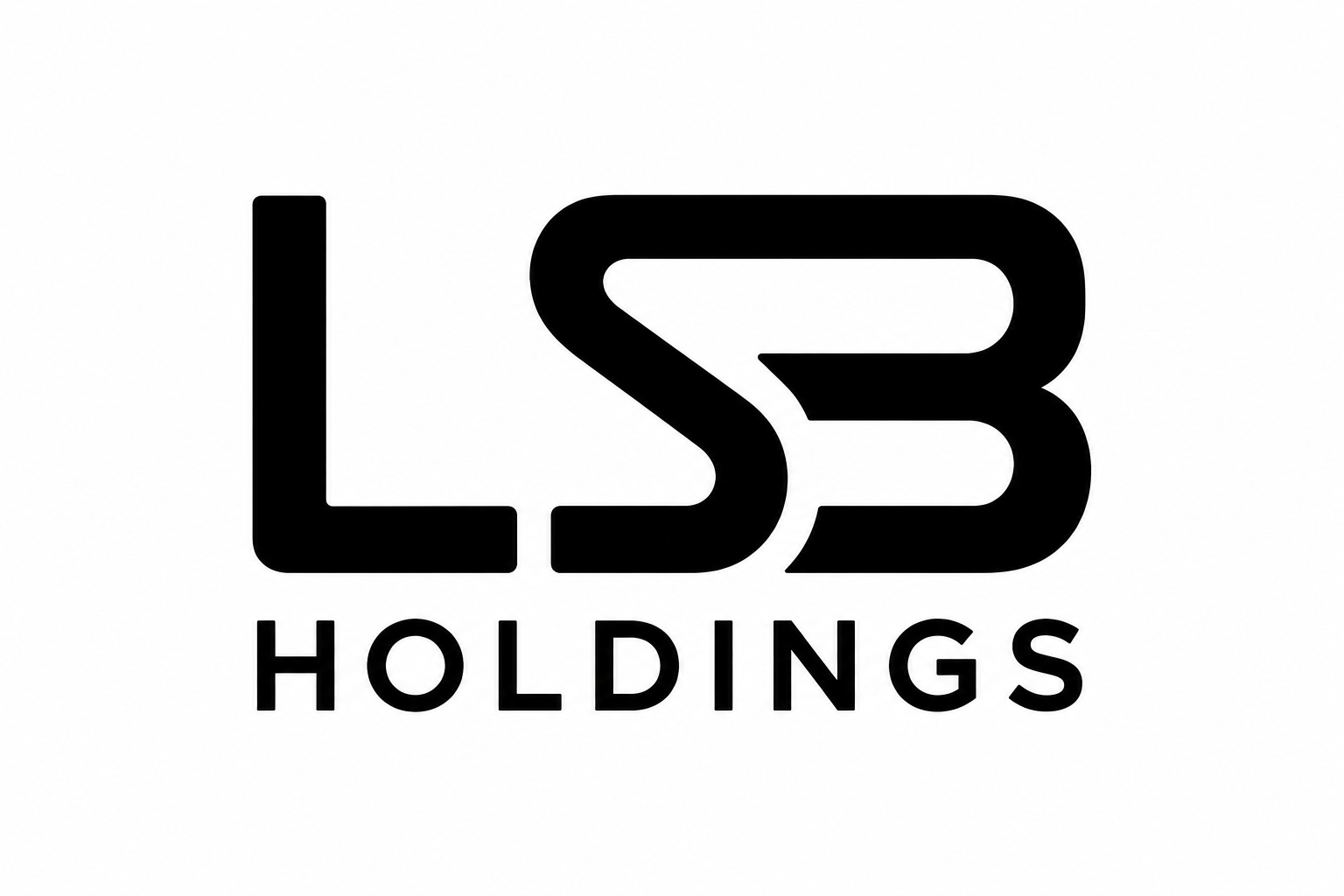 LSB HOLDINGS